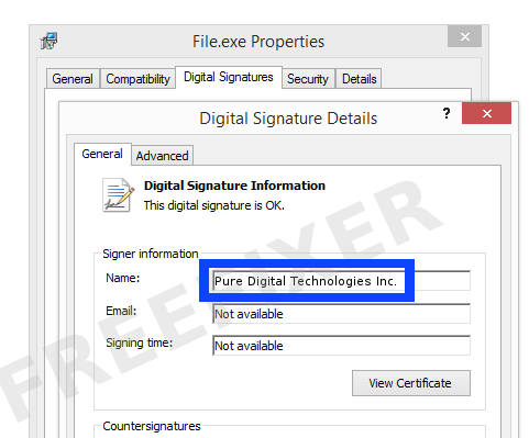 Screenshot of the Pure Digital Technologies Inc. certificate